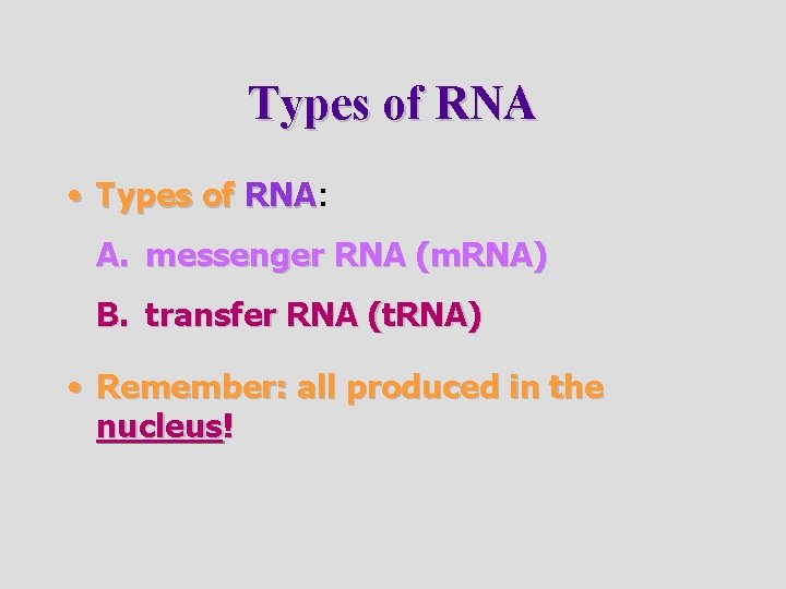 Types of RNA • Types of RNA: RNA A. messenger RNA (m. RNA) B.
