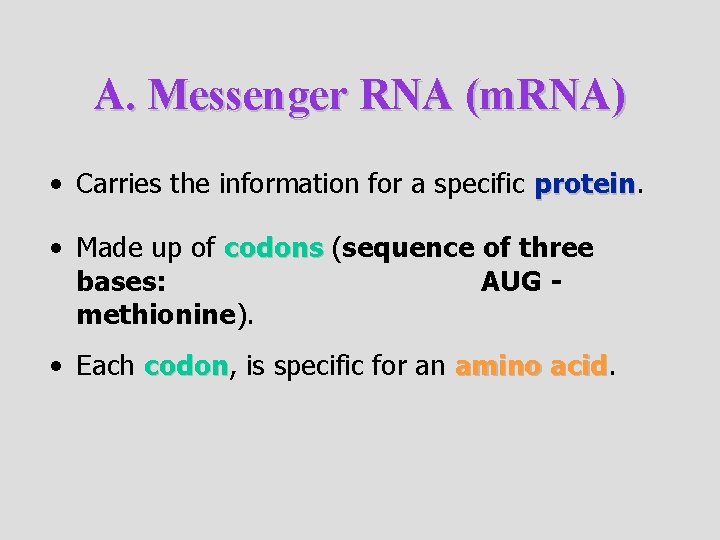 A. Messenger RNA (m. RNA) • Carries the information for a specific protein •