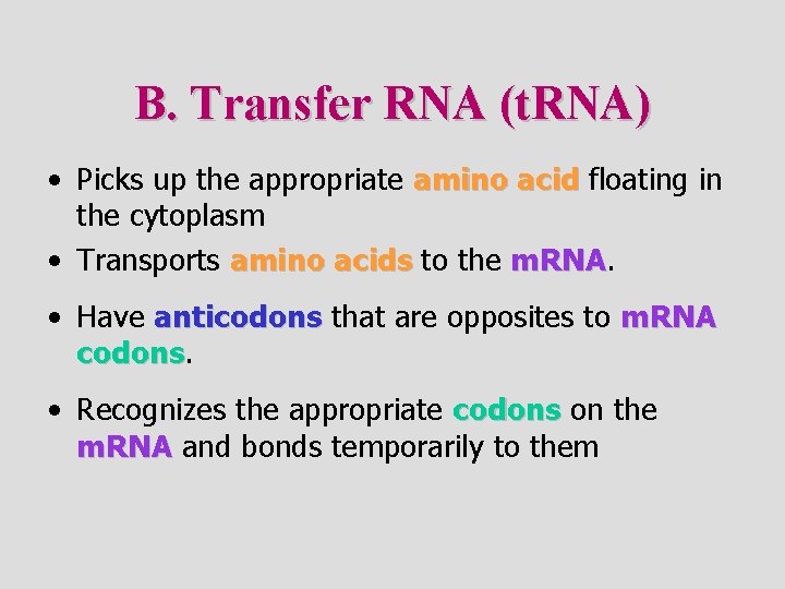 B. Transfer RNA (t. RNA) • Picks up the appropriate amino acid floating in