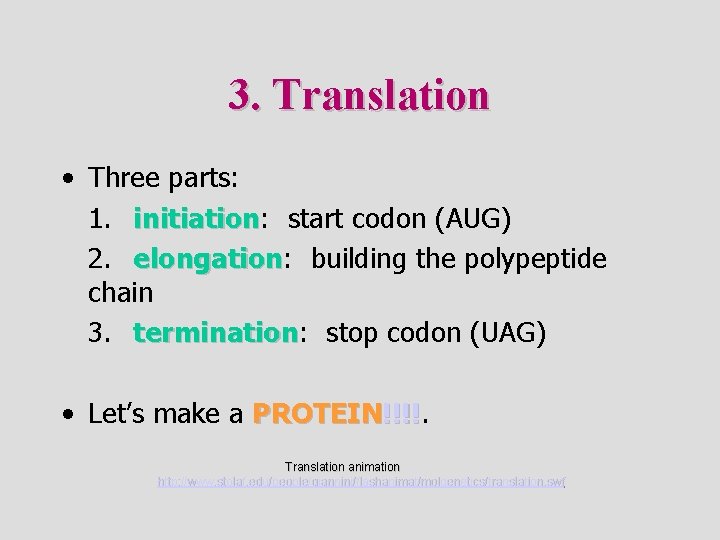 3. Translation • Three parts: 1. initiation: initiation start codon (AUG) 2. elongation: elongation