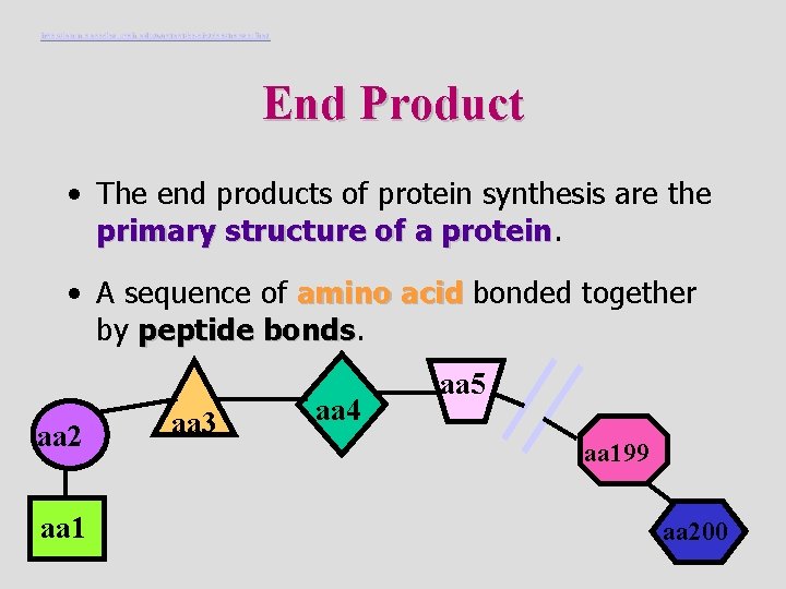 http: //learn. genetics. utah. edu/content/begin/dna/transcribe/ End Product • The end products of protein synthesis