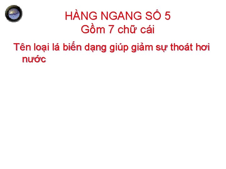 HÀNG NGANG SỐ 5 Gồm 7 chữ cái Tên loại lá biến dạng giúp