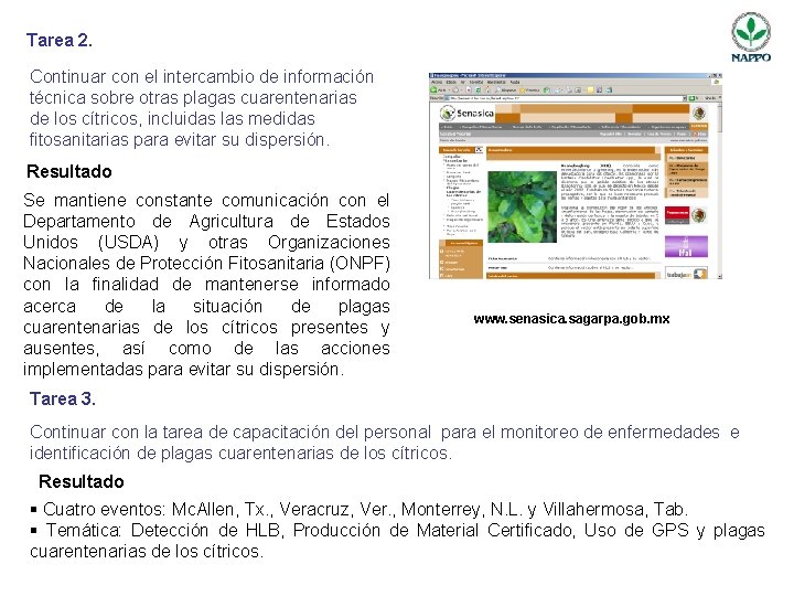Tarea 2. Continuar con el intercambio de información técnica sobre otras plagas cuarentenarias de