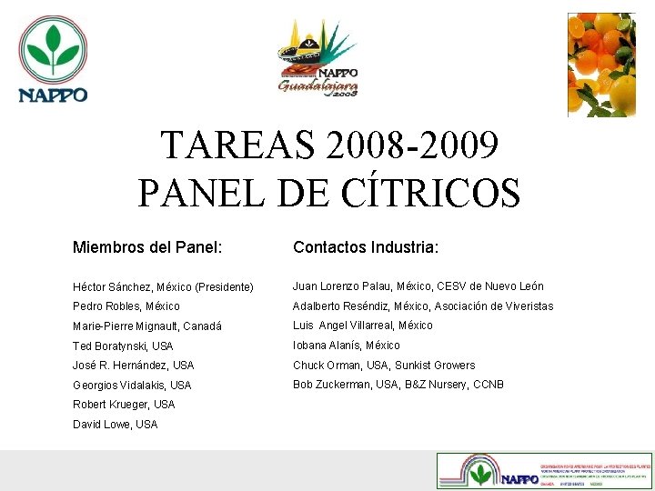 TAREAS 2008 -2009 PANEL DE CÍTRICOS Miembros del Panel: Contactos Industria: Héctor Sánchez, México