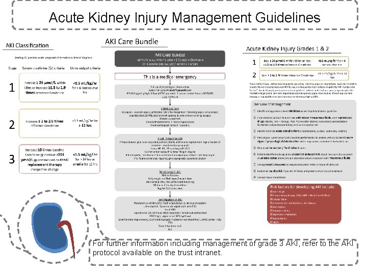 Acute Kidney Injury Management Guidelines For further information including management of grade 3 AKI,