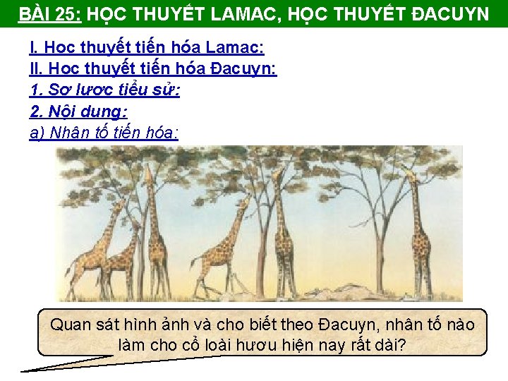 BÀI 25: HỌC THUYẾT LAMAC, HỌC THUYẾT ĐACUYN I. Học thuyết tiến hóa Lamac: