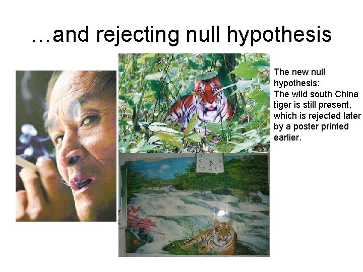 …and rejecting null hypothesis The new null hypothesis: The wild south China tiger is