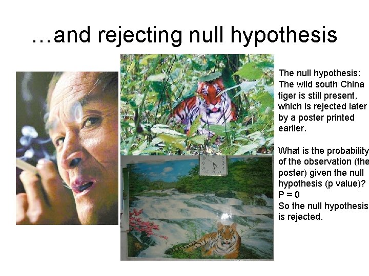 …and rejecting null hypothesis The null hypothesis: The wild south China tiger is still