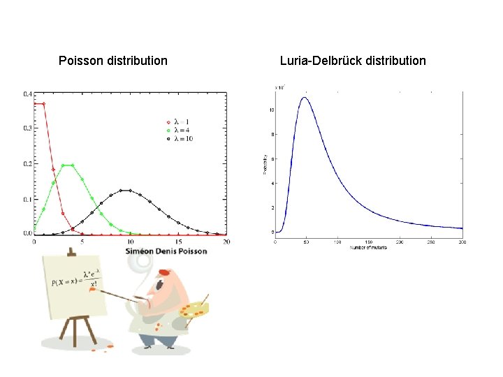 Poisson distribution Luria-Delbrück distribution 