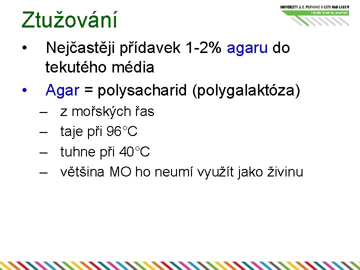 Ztužování • • Nejčastěji přídavek 1 -2% agaru do tekutého média Agar = polysacharid