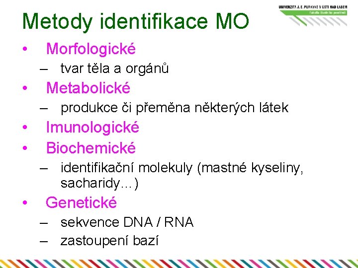 Metody identifikace MO • Morfologické – tvar těla a orgánů • Metabolické – produkce