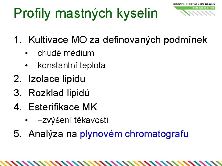 Profily mastných kyselin 1. Kultivace MO za definovaných podmínek • • chudé médium konstantní