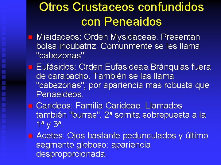 Otros Crustaceos confundidos con Peneaidos n n Misidaceos: Orden Mysidaceae. Presentan bolsa incubatriz. Comunmente