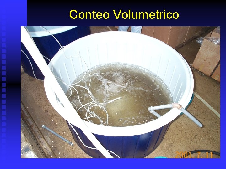 Conteo Volumetrico 