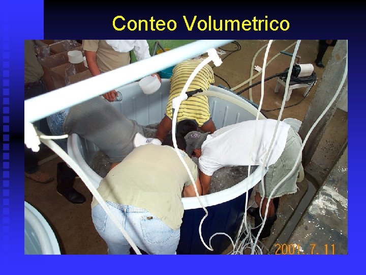 Conteo Volumetrico 