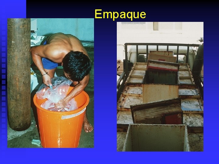 Empaque 