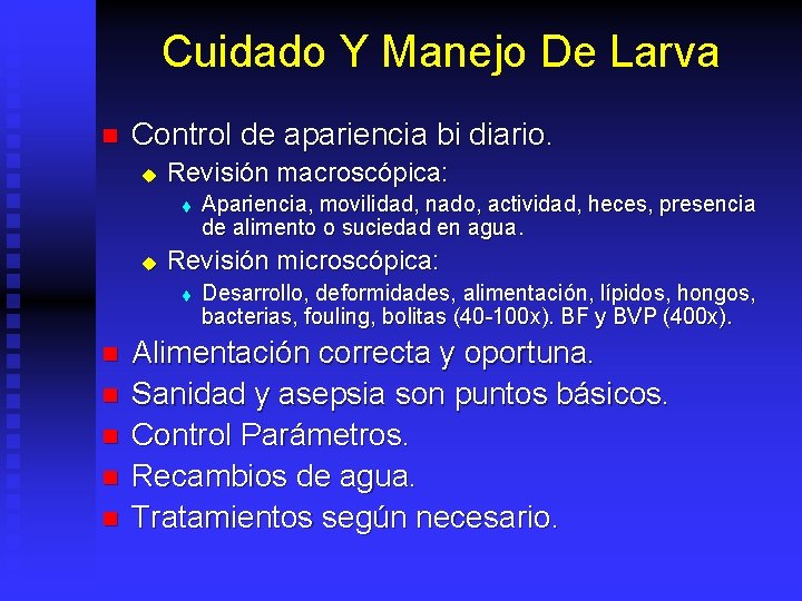 Cuidado Y Manejo De Larva n Control de apariencia bi diario. u Revisión macroscópica: