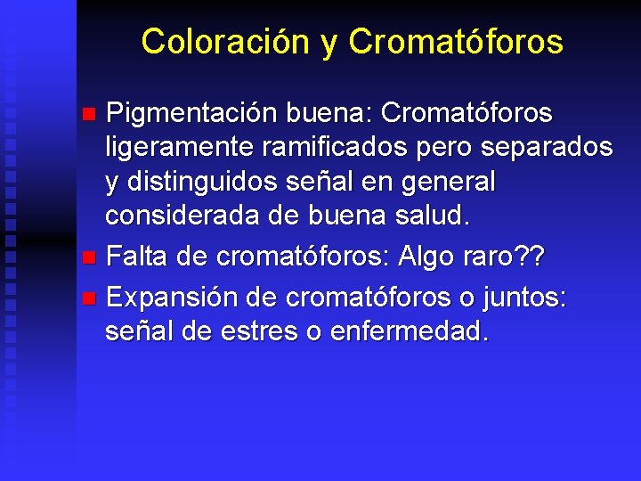 Coloración y Cromatóforos Pigmentación buena: Cromatóforos ligeramente ramificados pero separados y distinguidos señal en