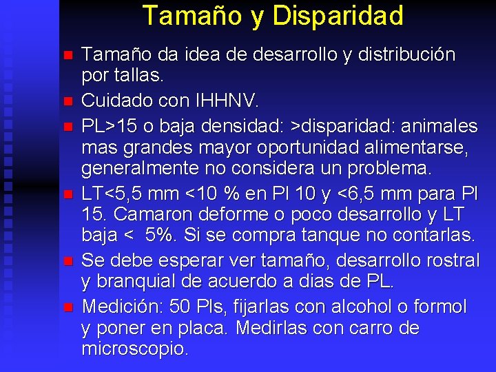 Tamaño y Disparidad n n n Tamaño da idea de desarrollo y distribución por