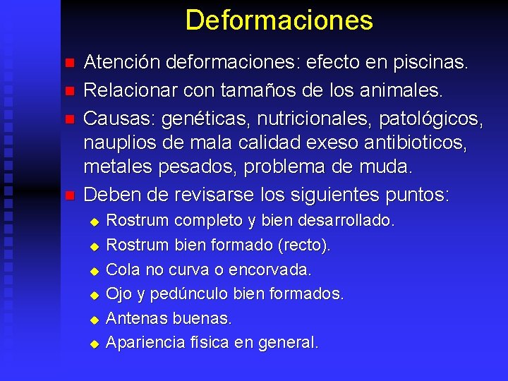 Deformaciones n n Atención deformaciones: efecto en piscinas. Relacionar con tamaños de los animales.