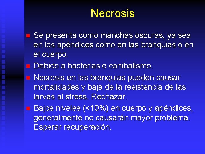 Necrosis n n Se presenta como manchas oscuras, ya sea en los apéndices como