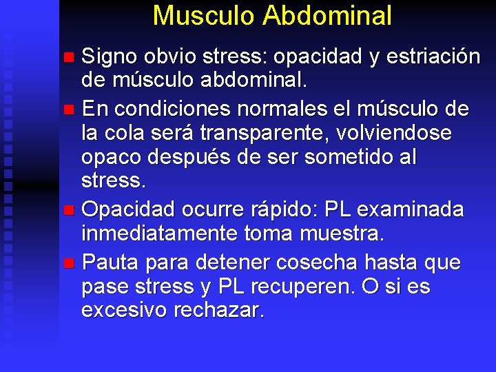 Musculo Abdominal Signo obvio stress: opacidad y estriación de músculo abdominal. n En condiciones