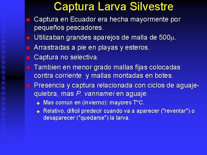 Captura Larva Silvestre n n n Captura en Ecuador era hecha mayormente por pequeños