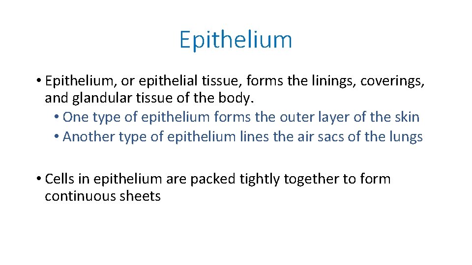 Epithelium • Epithelium, or epithelial tissue, forms the linings, coverings, and glandular tissue of