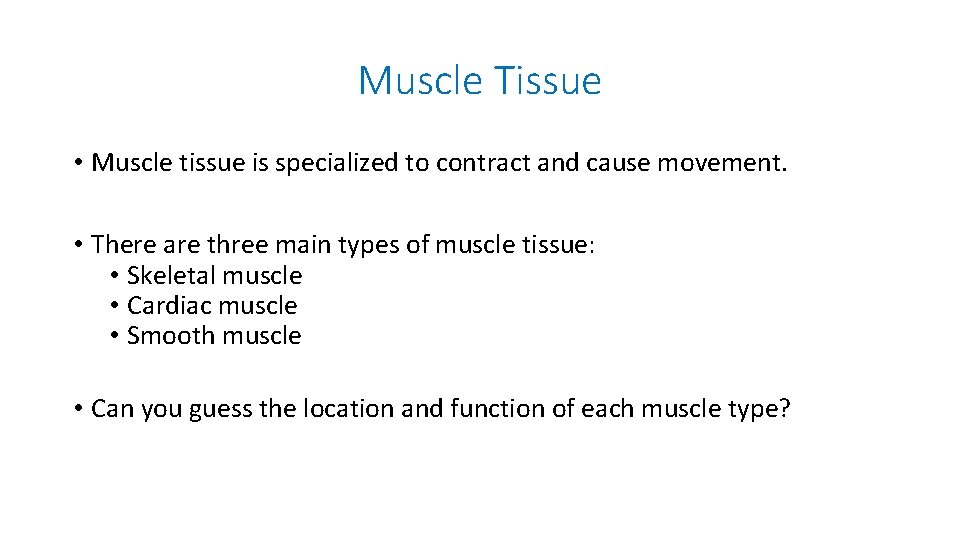 Muscle Tissue • Muscle tissue is specialized to contract and cause movement. • There