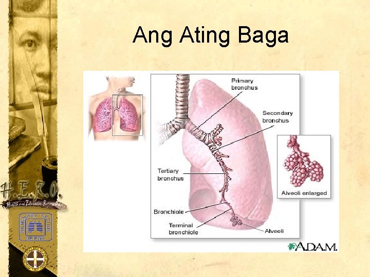 Ang Ating Baga 