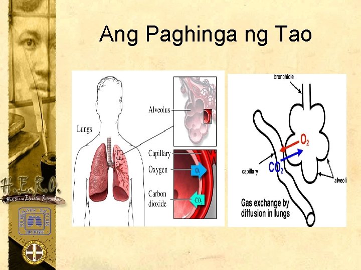 Ang Paghinga ng Tao 