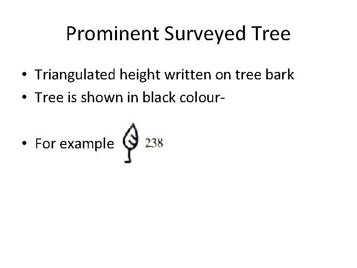 Prominent Surveyed Tree • Triangulated height written on tree bark • Tree is shown Prominent Surveyed Tree • Triangulated height written on tree bark • Tree is shown