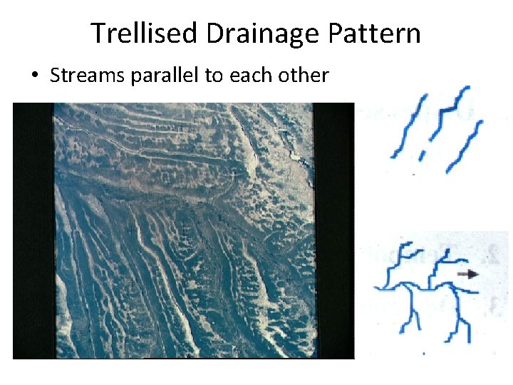 Trellised Drainage Pattern • Streams parallel to each other  Trellised Drainage Pattern • Streams parallel to each other