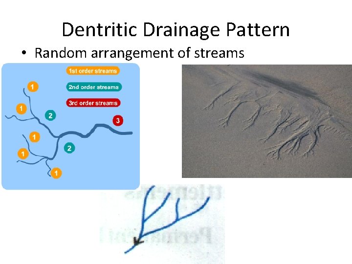 Dentritic Drainage Pattern • Random arrangement of streams 