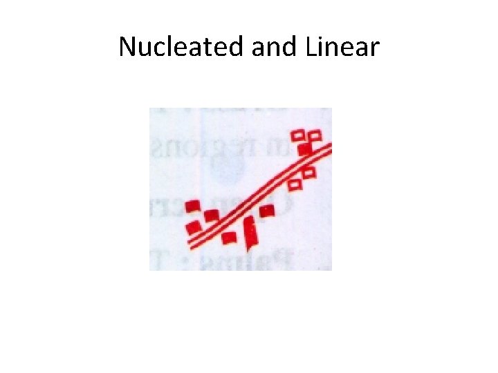 Nucleated and Linear 