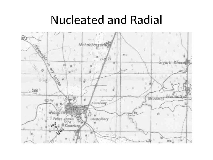 Nucleated and Radial  Nucleated and Radial