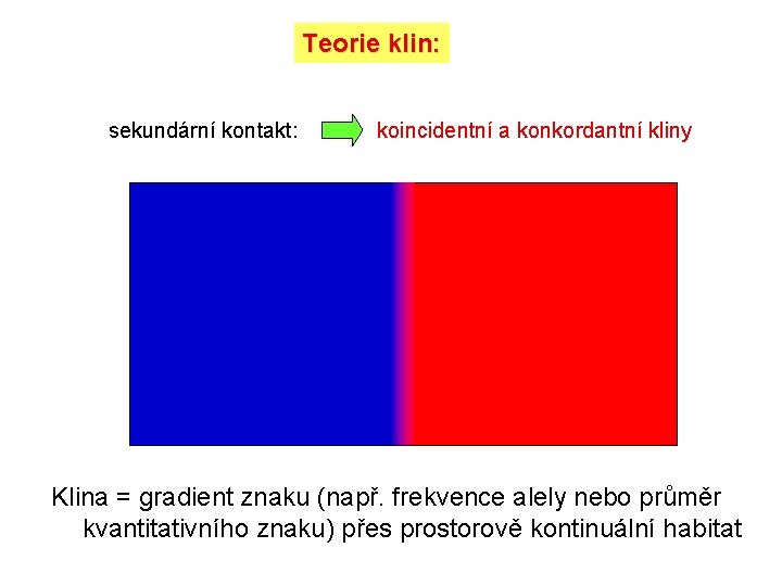 Teorie klin: sekundární kontakt: koincidentní a konkordantní kliny Klina = gradient znaku (např. frekvence