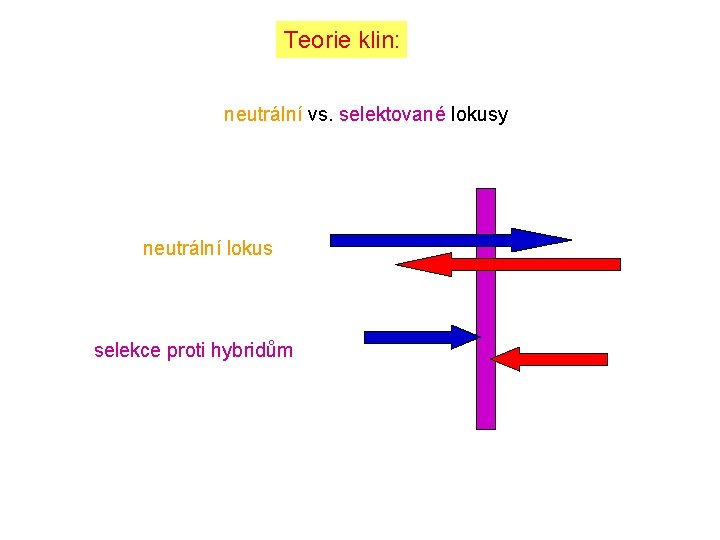 Teorie klin: neutrální vs. selektované lokusy neutrální lokus selekce proti hybridům 