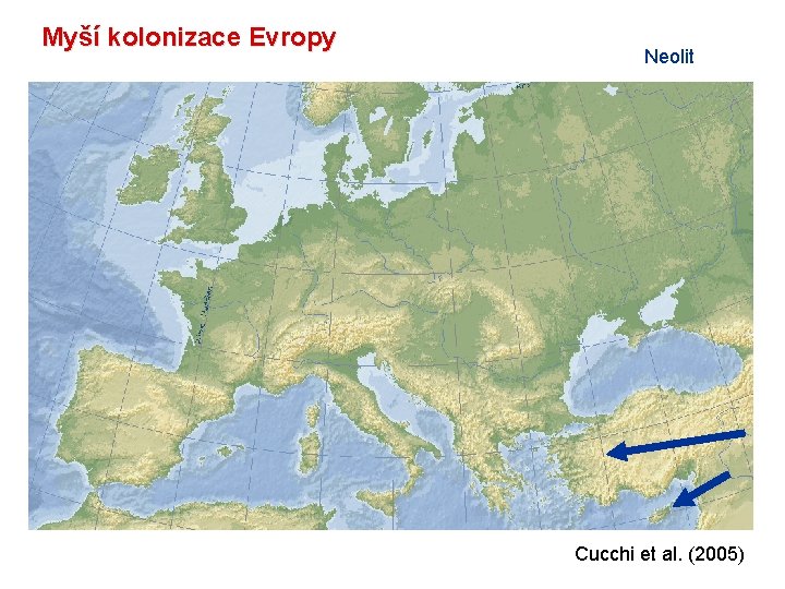 Myší kolonizace Evropy Neolit Cucchi et al. (2005) 