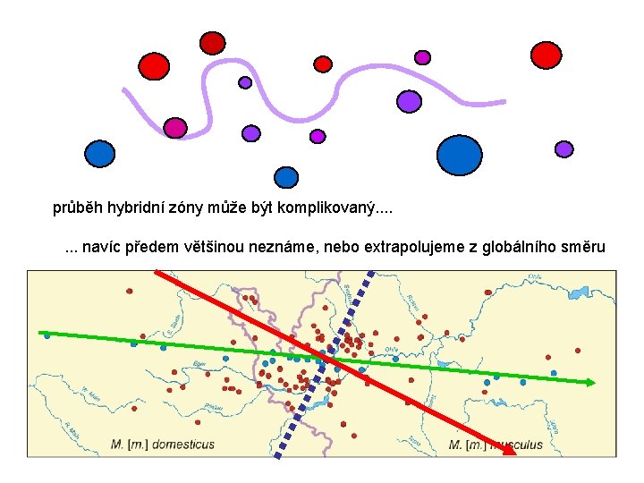 průběh hybridní zóny může být komplikovaný. . . . navíc předem většinou neznáme, nebo