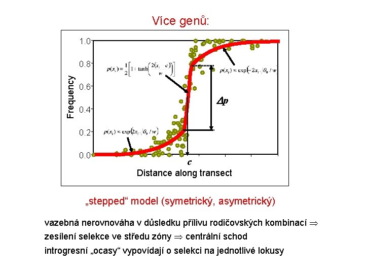 Více genů: 1. 0 Frequency 0. 8 0. 6 p 0. 4 0. 2