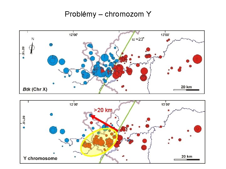 Problémy – chromozom Y >20 km 