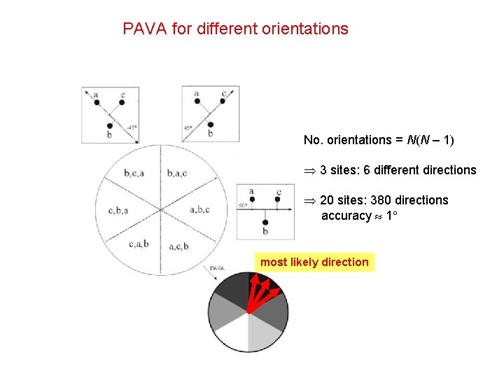 PAVA for different orientations No. orientations = N(N – 1) 3 sites: 6 different