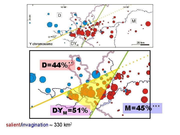 D=44%** DYM=51% salient/invagination 330 km 2 M=45%*** 