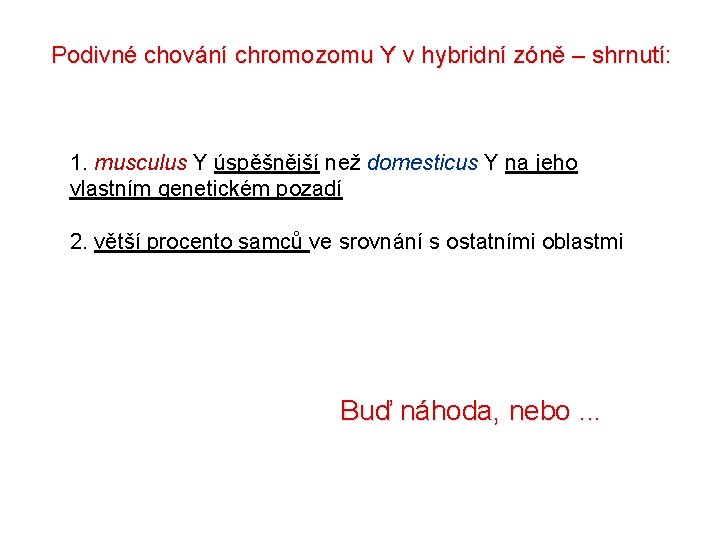 Podivné chování chromozomu Y v hybridní zóně – shrnutí: 1. musculus Y úspěšnější než