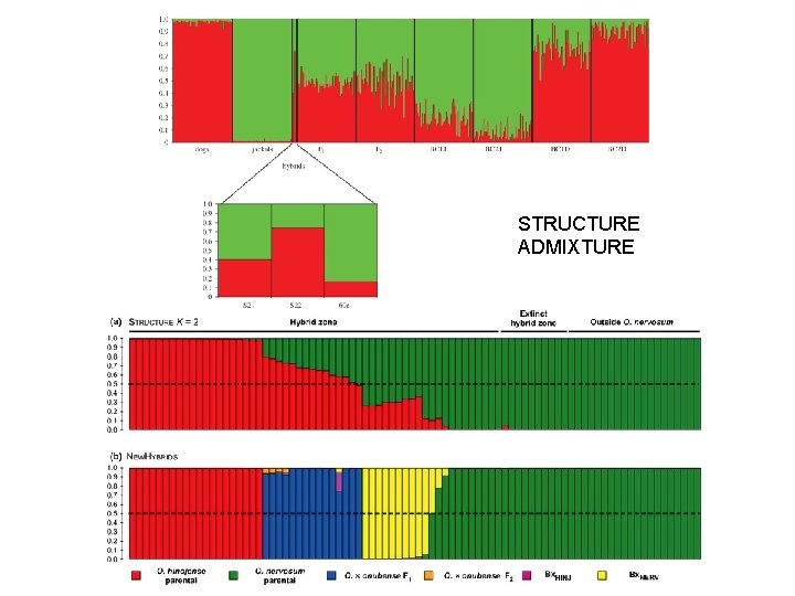 STRUCTURE ADMIXTURE 