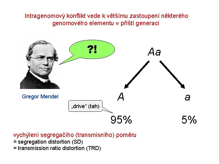  Intragenomový konflikt vede k většímu zastoupení některého genomového elementu v příští generaci ?