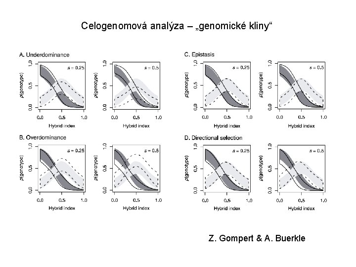 Celogenomová analýza – „genomické kliny“ Z. Gompert & A. Buerkle 