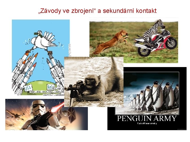 „Závody ve zbrojení“ a sekundární kontakt 