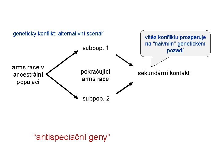  genetický konflikt: alternativní scénář subpop. 1 arms race v ancestrální populaci pokračující arms